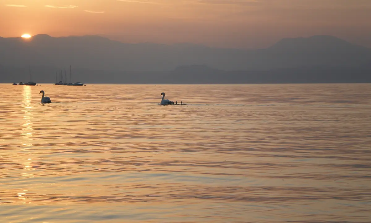 Il lago di Garda all’alba